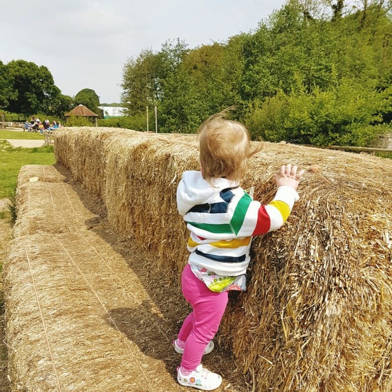 Bales of straw at Jimmy's farm