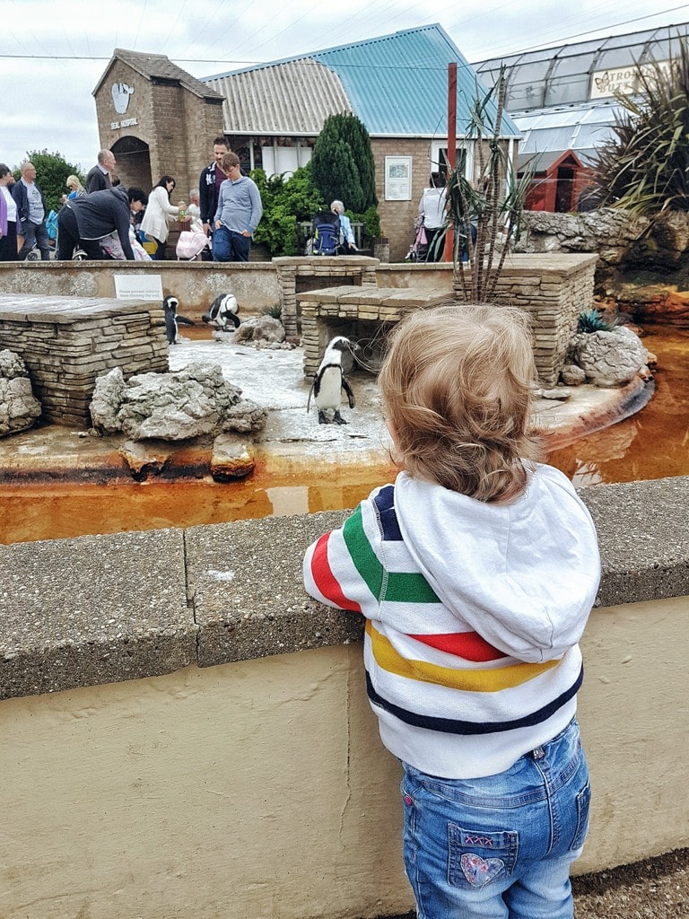 Natureland Skegness