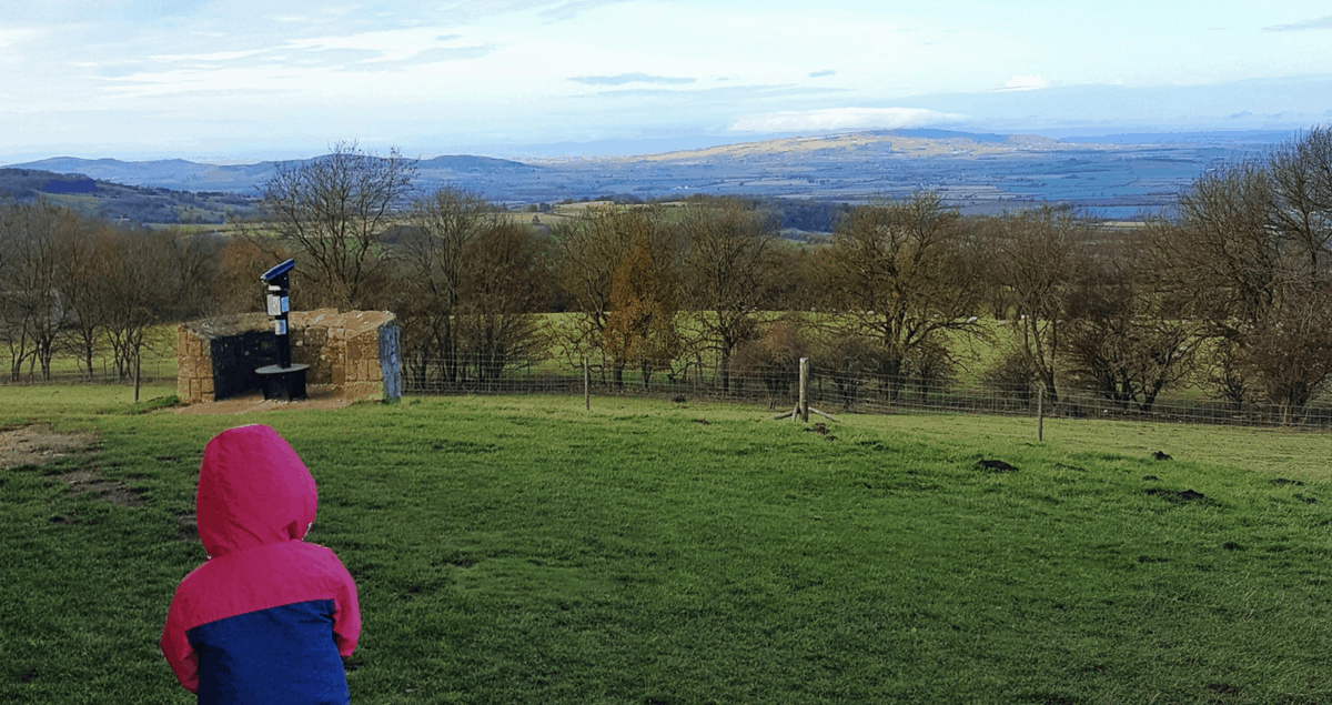 Feature image for The Thief of Joy. A boy lookd out over a green landscape and a blue sky.