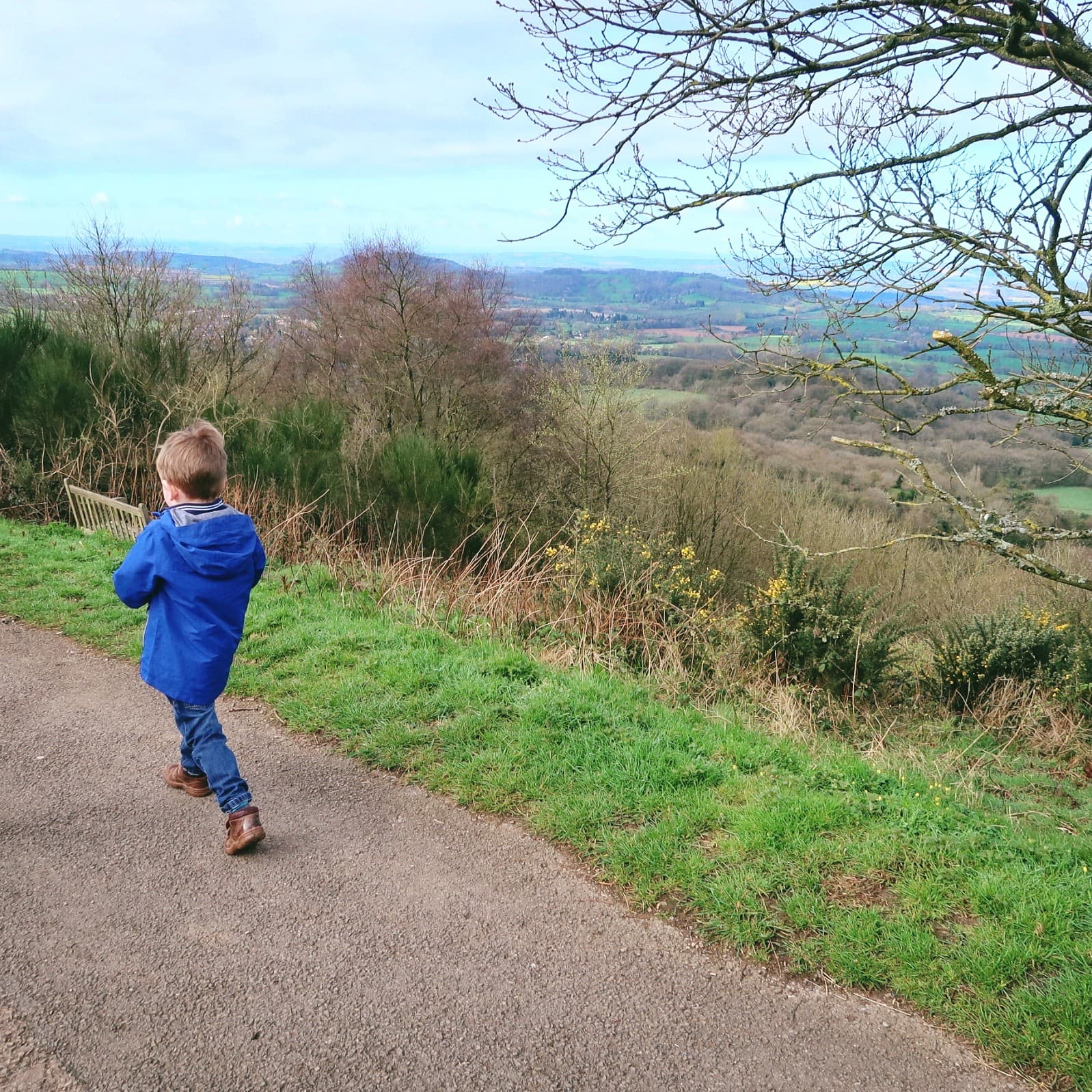 Biggest on Malvern Hills, near Wyche Cutting car park