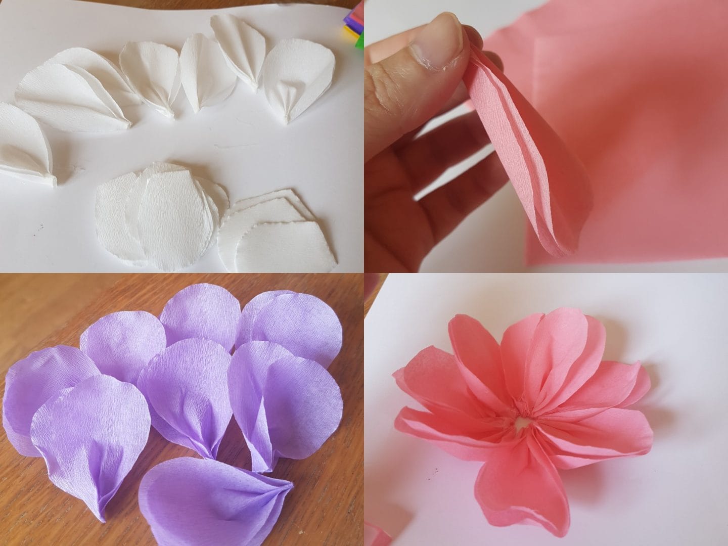 Final petals for paper flowers craft