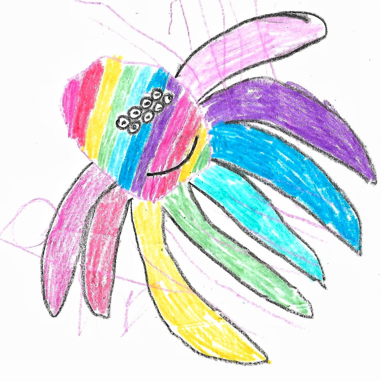 A child's drawing of a rainbow spider - the petplan dream pet campaign for pet insurance