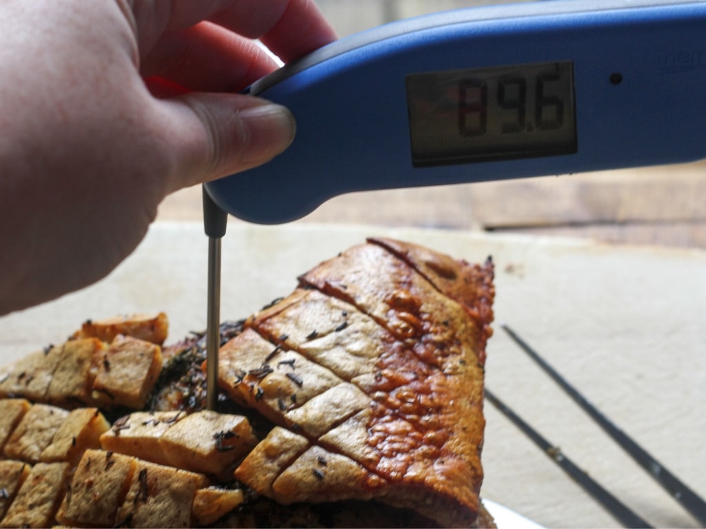 Thermapen in use