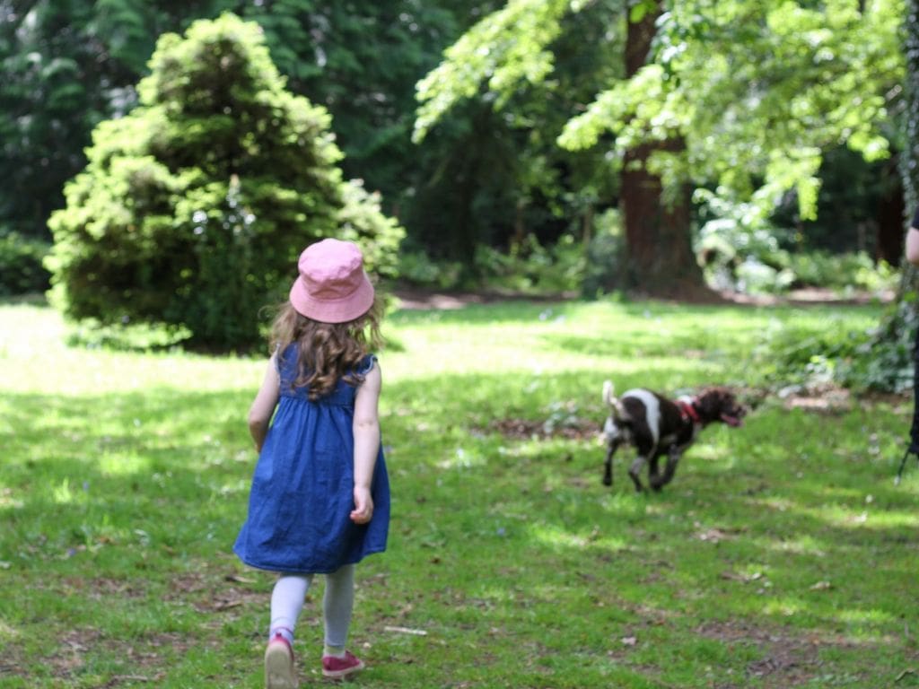 Small girl walking in a forest with a dog in the distance