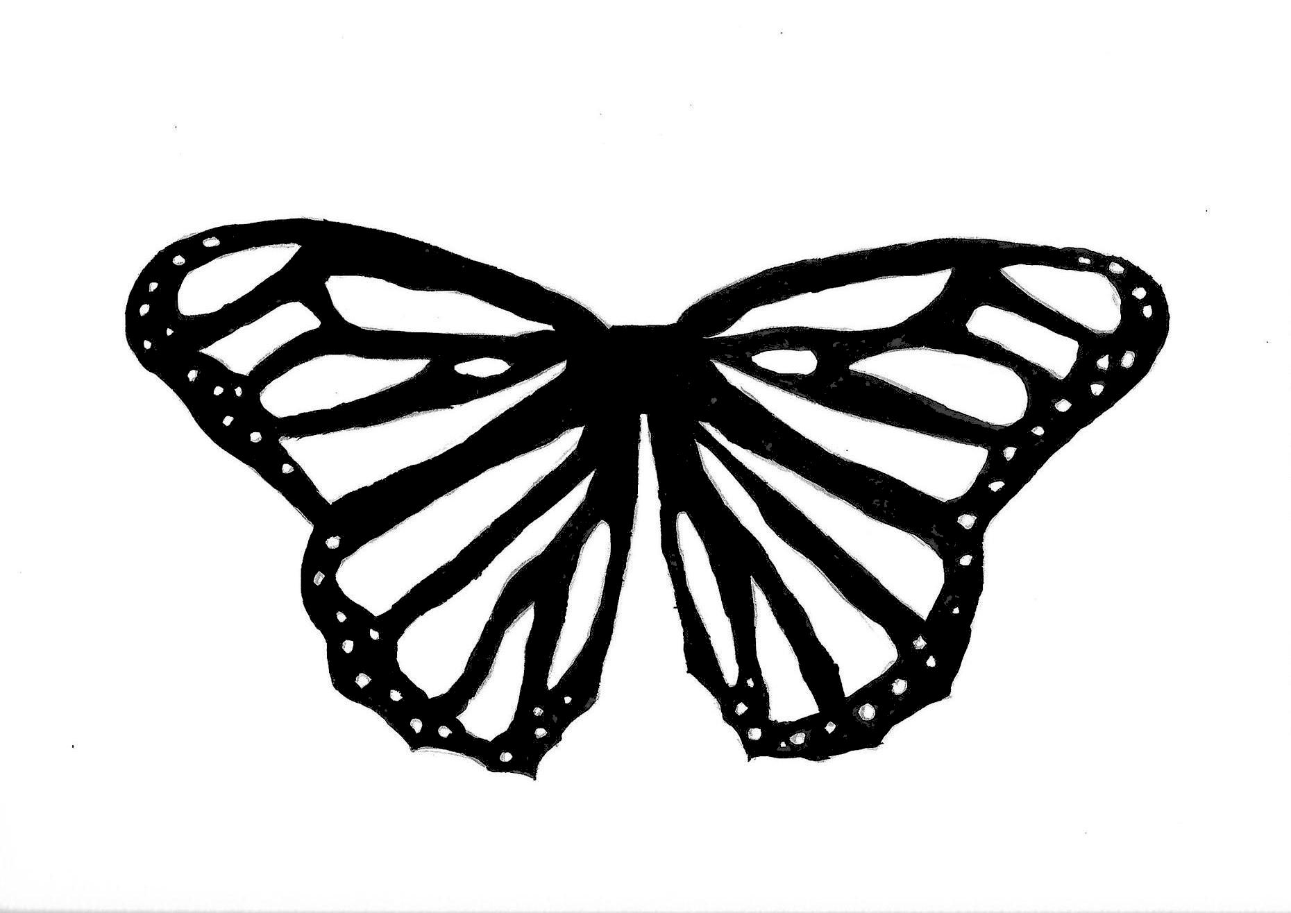 Free Printable Photos Of Butterflies